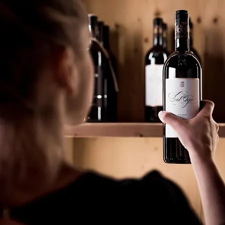 酒店 Posthotel Kassl 4 4*